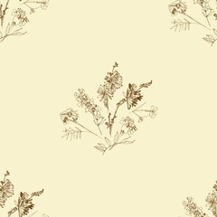 Seamless pattern with Wild Flowers with Summer Botanical Sketches - 301310389