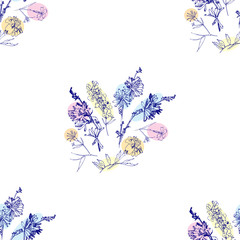 Seamless pattern with Wild Flowers with Summer Botanical Sketches - 301310570