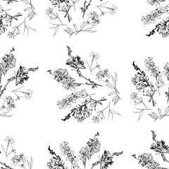 Seamless pattern with Wild Flowers with Summer Botanical Sketches - 301310903