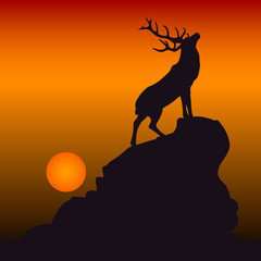 Silhouette of a deer on top of a mountain, head raised up, on a background of orange sunset
