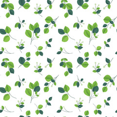 Eucalyptus silver dollar brunch seamless pattern. Beautiful decorative gum tree natural foliage. Green eucalyptus leaves. Hand drawn Vector illustration