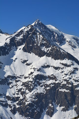 Fototapeta na wymiar Aletschhorn and Geisshorn