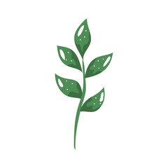 branch with leafs nature ecology isolated icon vector illustration design