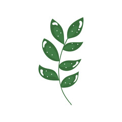 branch with leafs nature ecology isolated icon vector illustration design