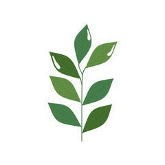 branch with leafs nature ecology isolated icon vector illustration design