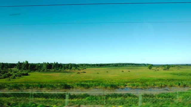 High-speed Train moves past a low forest, green fields in a sunny day