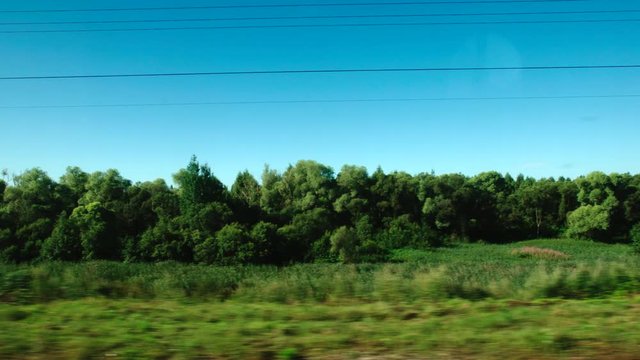 High-speed Train moves past a forest with a low trees in the summer