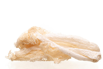 Dried Tropical Stinkhorn mushroom, Phallus indusiatus , Bamboo mushroom isolated on white
