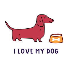 I love my dog. Cute hand drawn dachshund. Vector illustration for greeting card, t shirt, sticker, poster design on white background.
