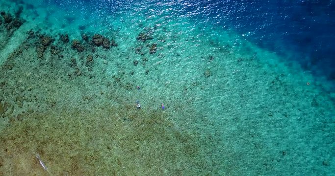 A Vast Green Shallow Ocean with Coral Reefs and People Snorkeling under the Bright Sunny Day in Barbados - Aerial Shot