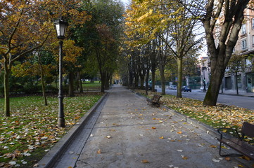 Oviedo otoño