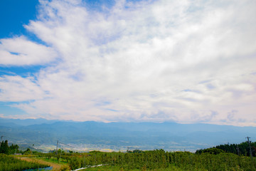 Fototapeta na wymiar 長野県高森町　果樹園のある風景