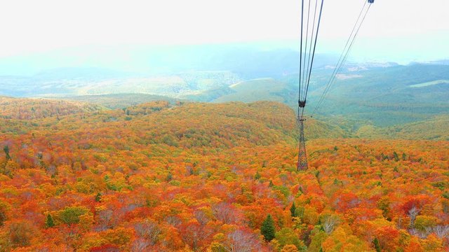Natural color at the forest of Mount Hakkoda in autumn season. Aerial view from Hakkoda ropeway. Landscape of Hakkoda mountain in Aomori Prefecture, Japan.
