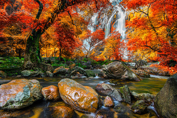 Panele Szklane  Niesamowity w naturze, piękny wodospad w kolorowym jesiennym lesie w sezonie jesiennym