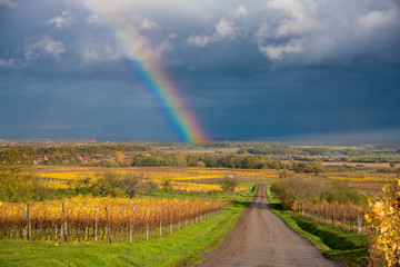 November Regenbogen im Elsass