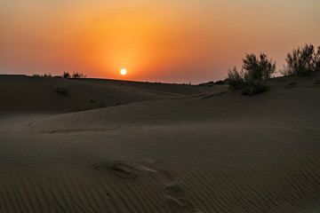 Wüstenstadt Jaisalmer in Rajasthan - Indien