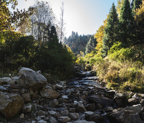 Obraz premium Bhrigu Lake Trek in Manali - Indien