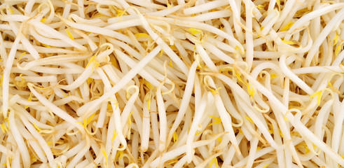 Fresh raw healthy fresh beansprout background