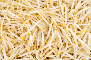 Fresh raw healthy fresh beansprout background