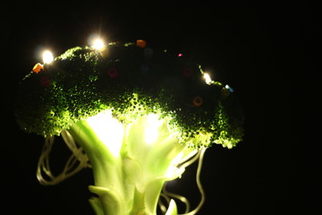 ブロッコリーイルミネーション illuminated broccoli 3