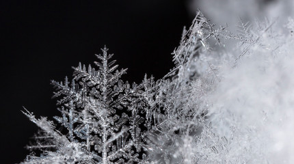  winter card, crystals of snow, winter photo