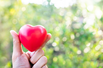 Obraz na płótnie Canvas Hand holding red heart with copy space.Concept of Love and Health care,family insurance.World heart day, World health day.Valentine's day.Shape of heart on beautiful green light bokeh background.