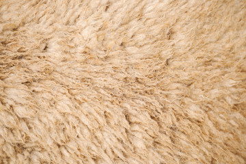 Detailed closeup of natural Australian sheep wool.