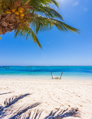 Fototapeta na wymiar tropical beach with palm trees, Morne Brabant, Mauritius 