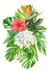 bouquet of tropical leaves and flowers on an isolated background, watercolor, painting, botanical illustration, floral design, plumeria, hibiscus, strelitzia, palms, monstera, fern