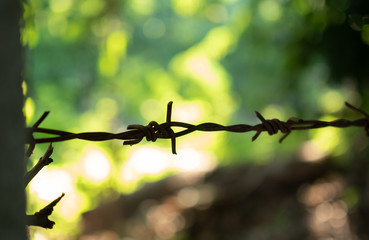 Barbed wire on bokeh background