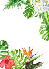 Fototapeta na wymiar frame, tropical leaves and flowers on an isolated background, greeting cards with space for text, watercolor painting, floral design, plumeria, strelitzia, palms, monstera, ficus