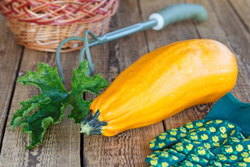 Fresh ripe vegetables on old wooden boards.