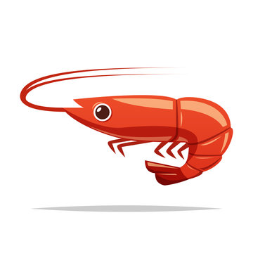 recommend clip art: Shrimp vector isolated illustration