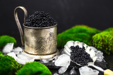 Fototapeta na wymiar black caviar in mug with black caviar spoon on dark moss background. .Free space for text. Black caviar. Luxurious culinary delicacy. Metal mug and black caviar, closeup .