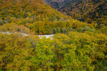 紅葉の山々と湯檜曽川