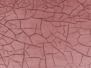Cracked paint on wooden background, texture. Vintage wallpaper