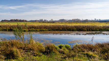 Jesień w Dolinie Górnej Narwi, Podlasie, Polska © podlaski49