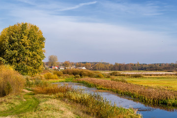 Jesień w Dolinie Górnej Narwi, Podlasie, Polska © podlaski49