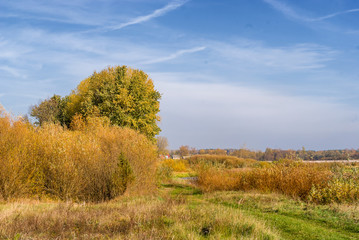 Jesień w Dolinie Górnej Narwi, Podlasie, Polska © podlaski49