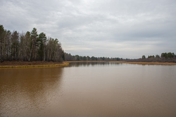 River bank with dense dried grass. Autumn landscape.