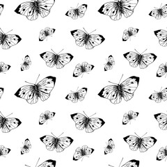 Butterfly sketch pattern. Hand drawn insect butterflies cabbage on white background. Seamless vector backdrop.