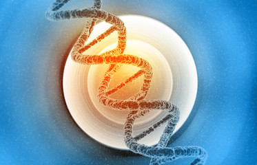 DNA molecules on the medical background. 3d illustration .