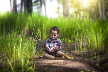 Cute little girl reading and learning the Bible in nature with light in morning time. christian concept.