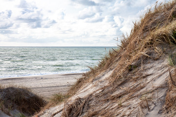 View on the beach from the sand dunes in the Netherlands