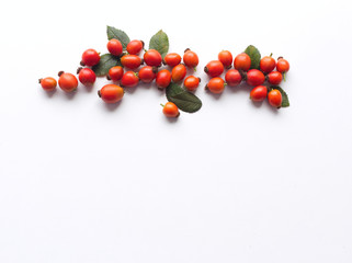 Autumn composition with red rose-hips on white table background. Fall, Halloween and Thanksgiving design. Flat lay, top view.