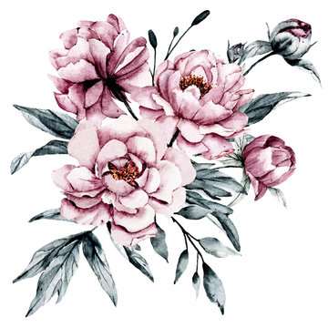 recommend clip art: Dusty pink flowers peonies watercolor, floral clip art. Bouquet perfectly for printing design on invitations, cards, wall art and other. Isolated on white background. Hand painting. 