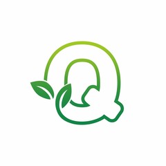 Letter Q Leaf Growing Buds, Shoots Logo Vector Icon