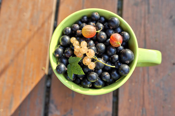 Black, white currants and gooseberries, in a cup against the background of boards