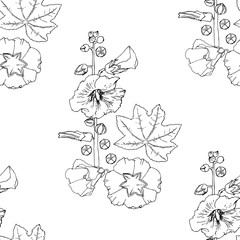 Malva seamless pattern Summer Flowers Sketches. Hand Drawn Digital Illustration