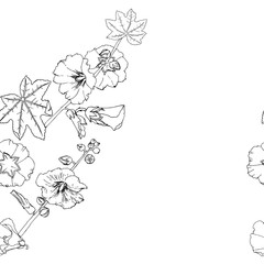 Malva seamless pattern Summer Flowers Sketches. - 301339753